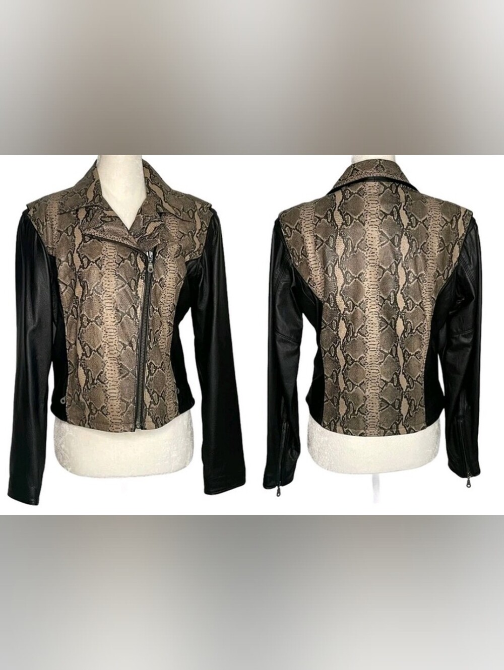 Harley Davidson Genuine Leather Biker Snakeskin Python Print Moto Jacket Y2k